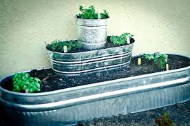 Raised Herb Garden Out Of Galvanized Tubs
