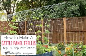 Cattle Panel Trellis Diy How To Make