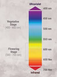 Best light spectrum for growing plants. The Indoor Marijuana Grower S Guide To Artificial Lights Rqs Blog