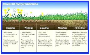 Lesco Fertilizer Schedule Agenherbal Co