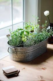 25 Best Indoor Herb Gardens Herb