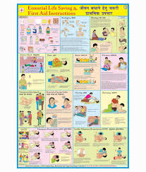 Ncp Life Saving First Aid Essentials Training Chart