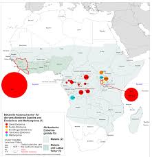 Virusbedingtes hämorrhagisches fieber aus dem afrikanischen regenwald. Rki Navigation Karte Der Bisherigen Ebola Und Marburgfieber Ausbruche In Afrika Sowie Der Malaria Und Lassa Endemiegebiete