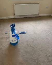 remove old stains from your carpet