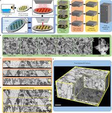 gas cer ion beam sem for imaging of