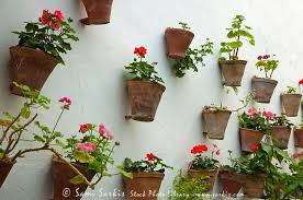 Terracotta Flower Pots Decorating The