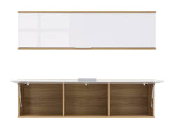 Modern Wall Hung Cabinet Storage Unit