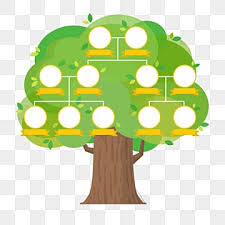 family tree clipart png vector psd