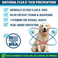 flea defender all natural flea tick