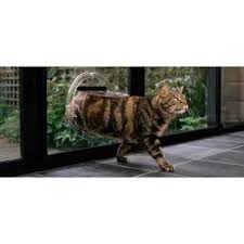 Tran Upgradeable Cat Door Glass