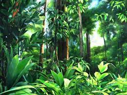 Selva tropical dibujos - Imagui