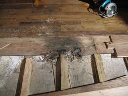 Building materials and water don't mix. Ability Wood Flooring Orlando Fl Water Damage