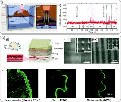 Existing investor emerging technology partners llc participated in. Vertically Configured Nanostructure Mediated Electroporation A Promising Route For Intracellular Regulations And Interrogations Materials Horizons Rsc Publishing