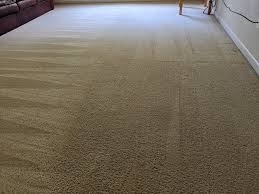palmetto carpet tile cleaners reviews
