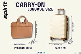 carry on luge size by airline 2024