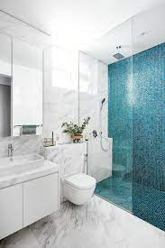 small bathrooms with walk in showers