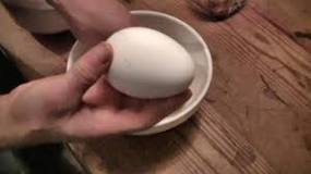 Are goose eggs good hard boiled?
