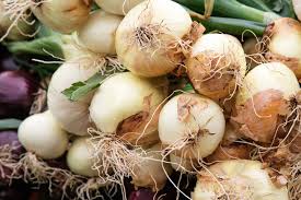 How To Onions For Several Months