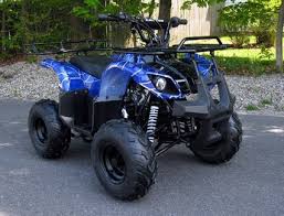 Maybe you would like to learn more about one of these? 125cc Coolster Hunter 6 Kids Atv Kids Atvs Youth Atv Roketa