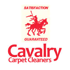 carpet cleaning near chaska mn 55318
