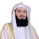 Image of What nationality is Mufti Ismail Menk?