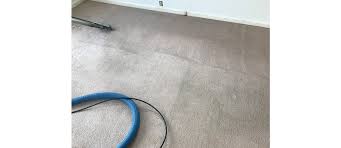 blue sky carpet cleaning florence ky