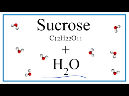 Equation For C12h22o11 H2o Sucrose