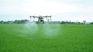 drones used in rice farming in central