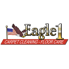eagle 1 carpet cleaning and floor care