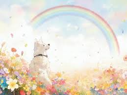free vectors rainbow bridge and white dog