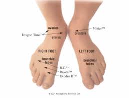 Young Living Foot Reflexology Chart Best Picture Of Chart