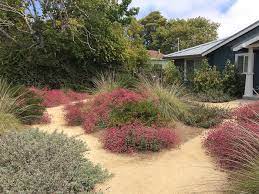 Maintenance Of Native Plant Gardens