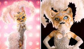 The kitty proved she really does have nine lives on the masked singer. she made it into the final six competing on april 29 by winning her smackdown against the banana last week. The Masked Singer Spoilers Is This Who The Kitty Is Major Clue Confirms Identity Tv Radio Showbiz Tv Express Co Uk