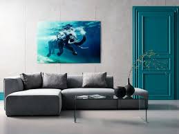 Swimming Elephant Tempered Glass Print