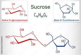 sucrose sugar molecule structural