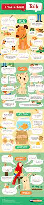 if your pet could talk daily infographic
