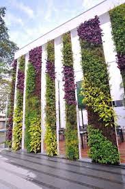 19 best vertical garden wall ideas for