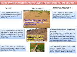 biol476 web project soil erosion types
