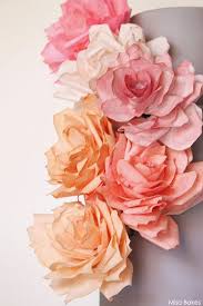 Compare Prices on Toilet Paper Roses  Online Shopping Buy Low    