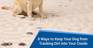 your dog from tracking dirt