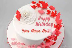 name on pink erfly birthday cake pics