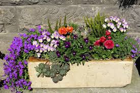 Container Garden