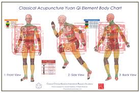 Classical Acupuncture Yuan Qi Body Charts Trio Series Large 102 X68cm