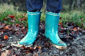 Image result for wellies