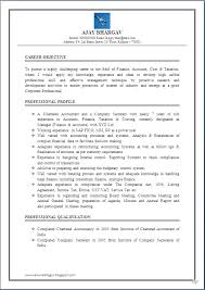 Professional Charted Accountant Resume
