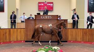 Using favorites allows you to follow your favorite live streamers and see when they come online. Mixed Emotions As Trevor Hemmings Dispersal Sees A 140 000 Top Lot Bloodstock News Racing Post