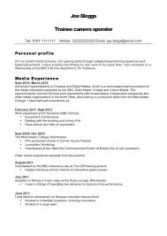 Cv personal statement for customer service profile resume samples sample of  graph paper sample of cv