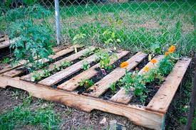 use pallets in your garden