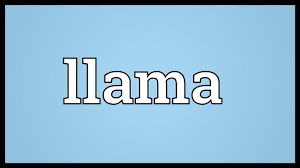 llama meaning you