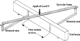 schematic of torsion test setup